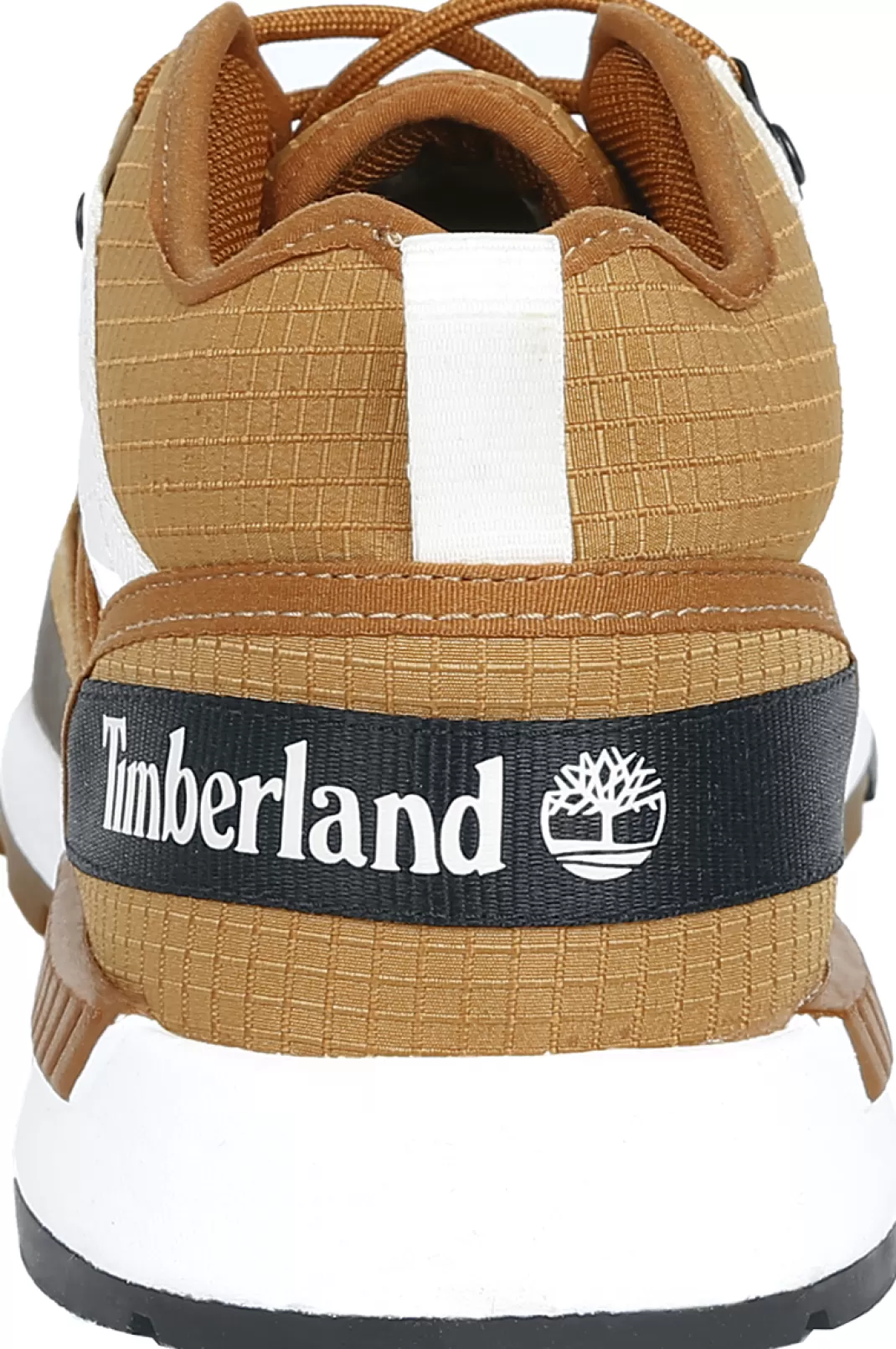 Men Timberland Field Trekker Mid Fabric Sneakers Brown By