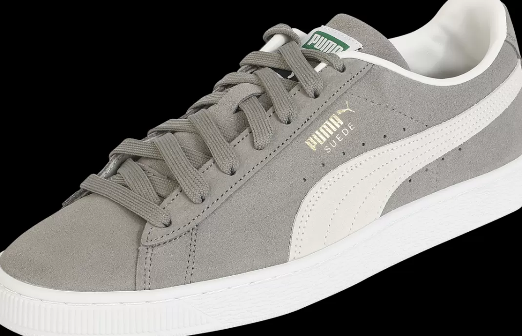 Men Puma Suede Classic Xxi Sneakers Grey By